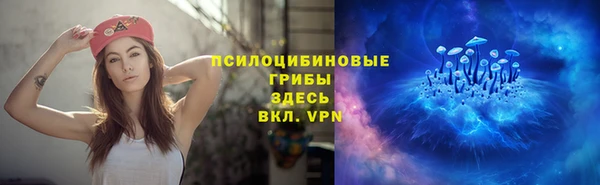 амфетамин Белокуриха